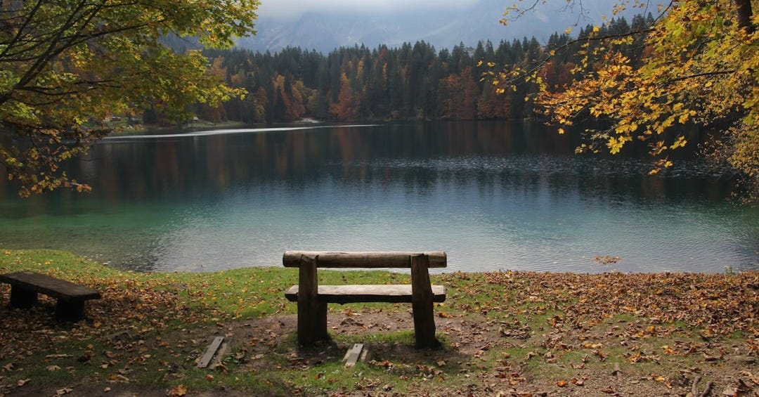 brown wooden bench near lake during daytime