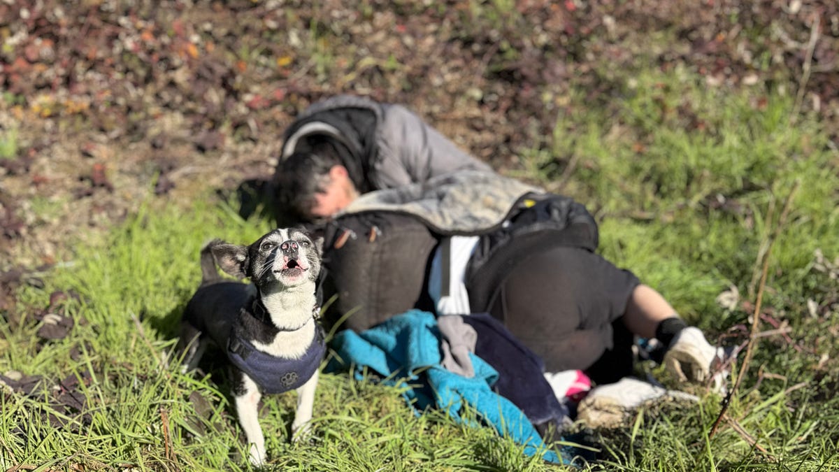 Delta Park: Portland&rsquo;s Hidden Crisis