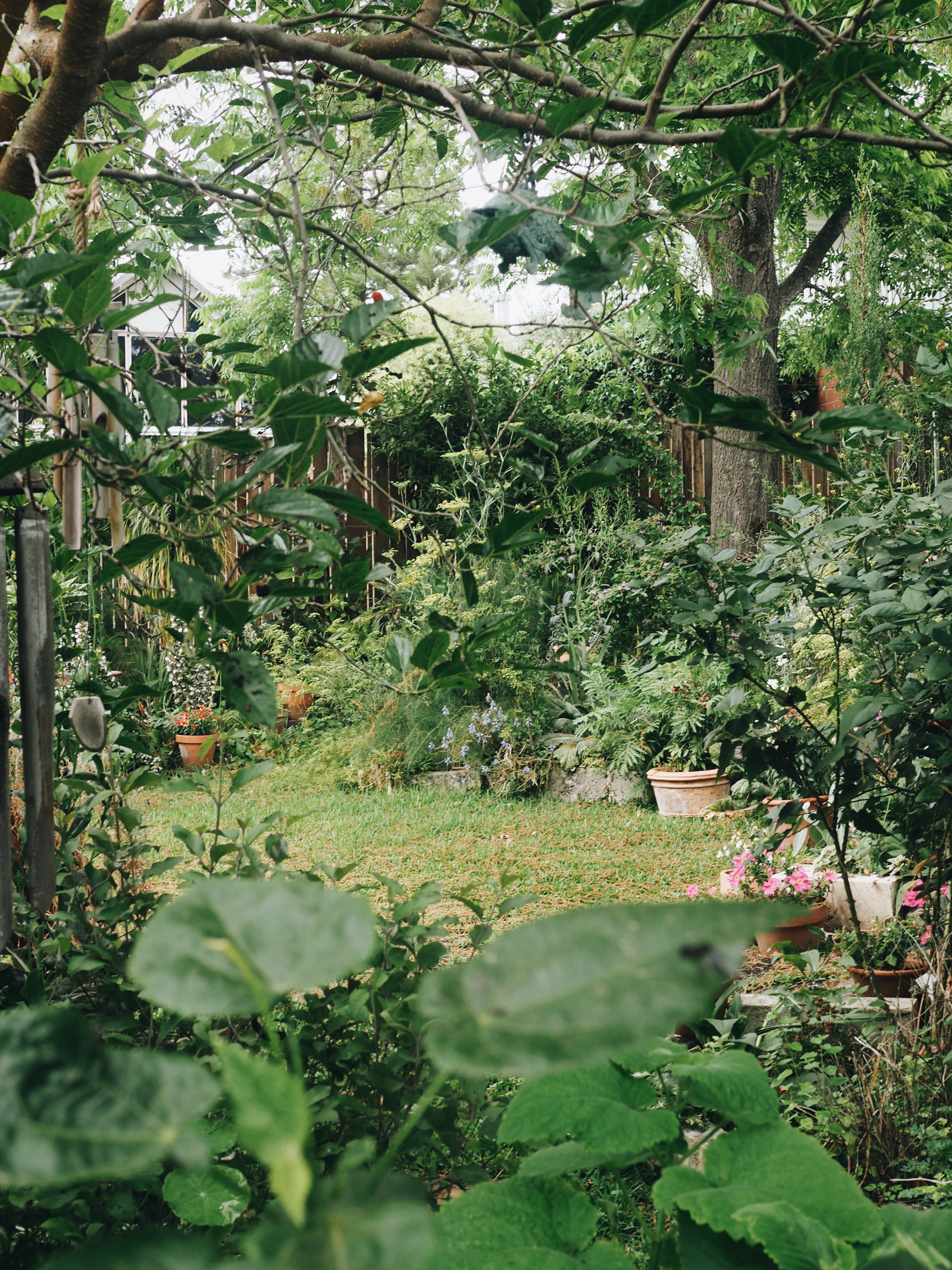 The new garden aesthetic of the 21st century: Lazy Cottage