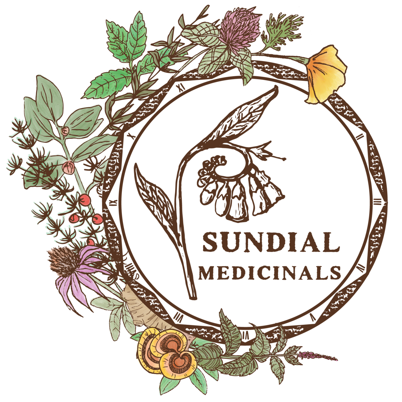 Sundial Herb Garden