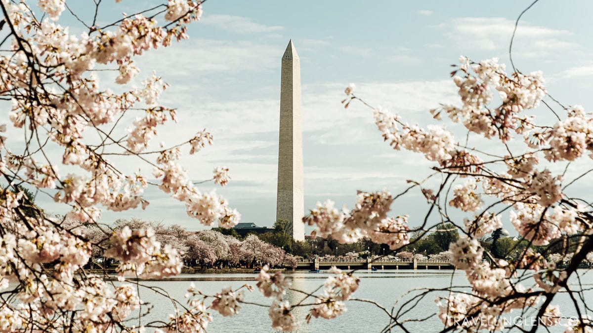 Washington DC: Off The Beaten Path Destination Guide