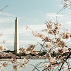 Washington DC: Off The Beaten Path Destination Guide