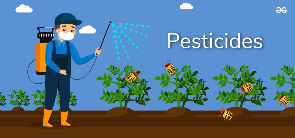 A person spraying plants with a sprayer
AI-generated content may be incorrect.