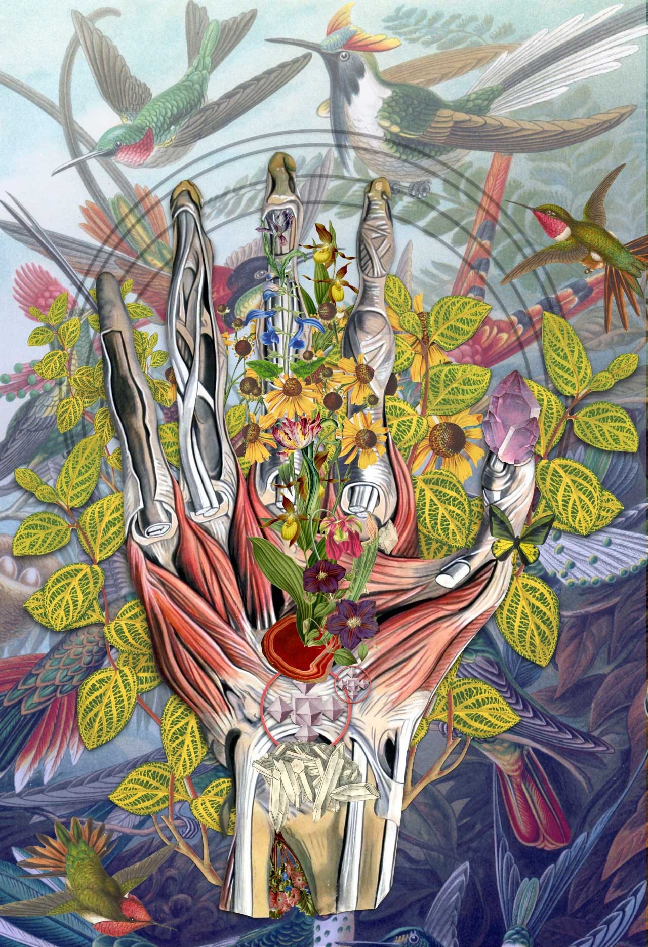 bedelgeuse collages