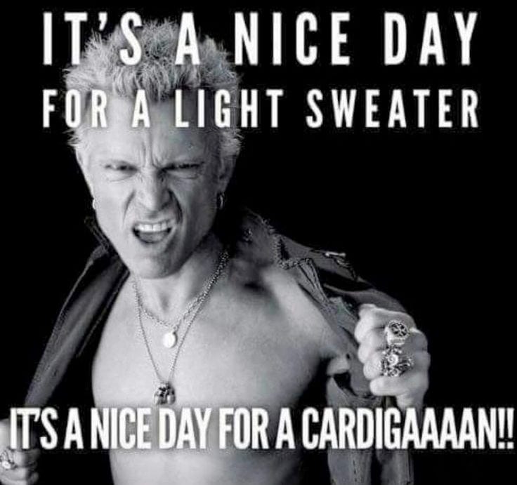 May be a meme of sweater, vest, cardigan and text that says 'IT'SANICEDAY A IT'S NICE DAY FOR A LIGHT SWEATER ITSA A NICE DAY FOR A CARDIGAAAAN!!'