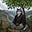 Zen Nomad Wolf's avatar