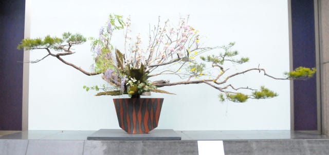 Ikebana Flower Arrangements - by Iris Reinbacher