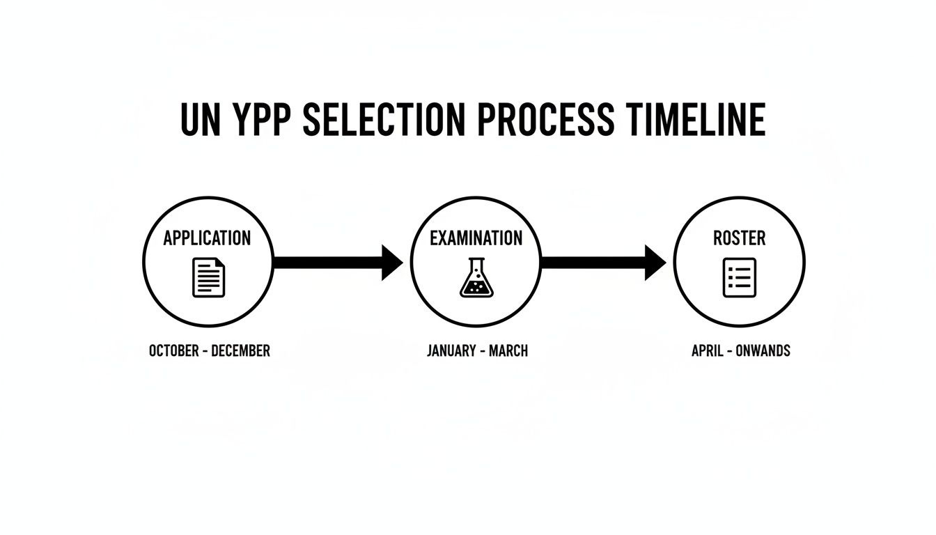 UN YPP selection process timeline illustrating Application, Examination, and Roster stages with their respective months. UN YPP selection process timeline illustrating Application, Examination, and Roster stages with their respective months.