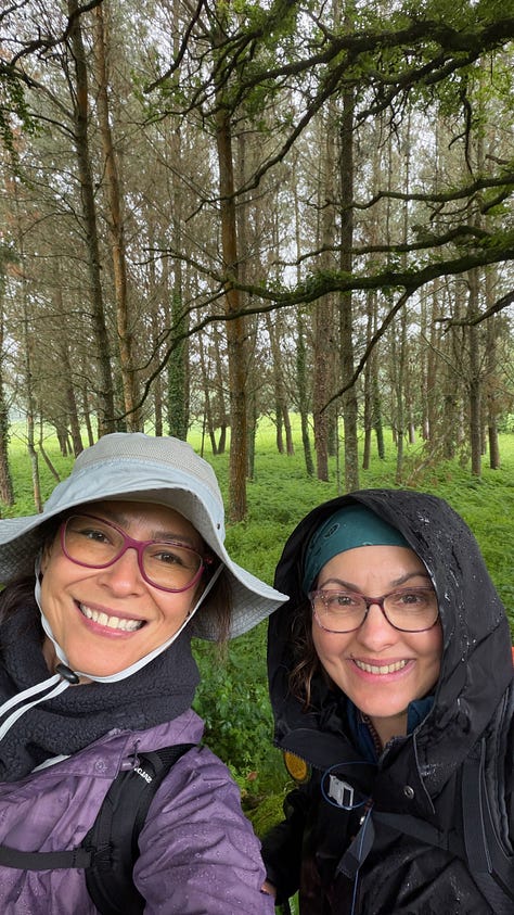Imágenes del Camino de Santiago