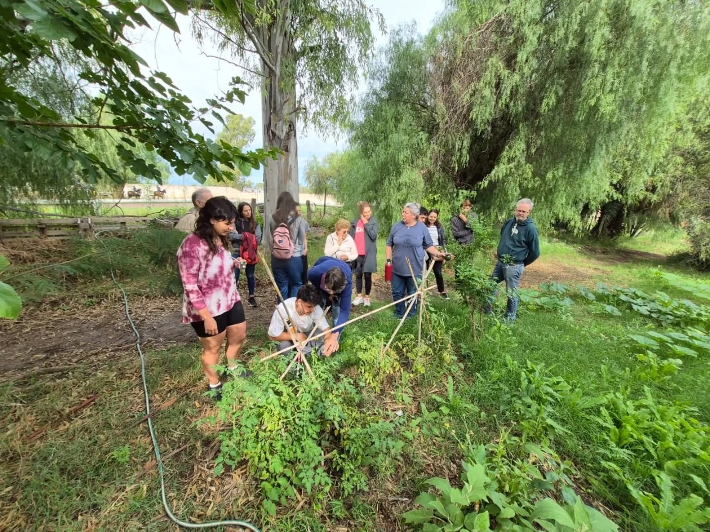 No hay ninguna descripción de la foto disponible.