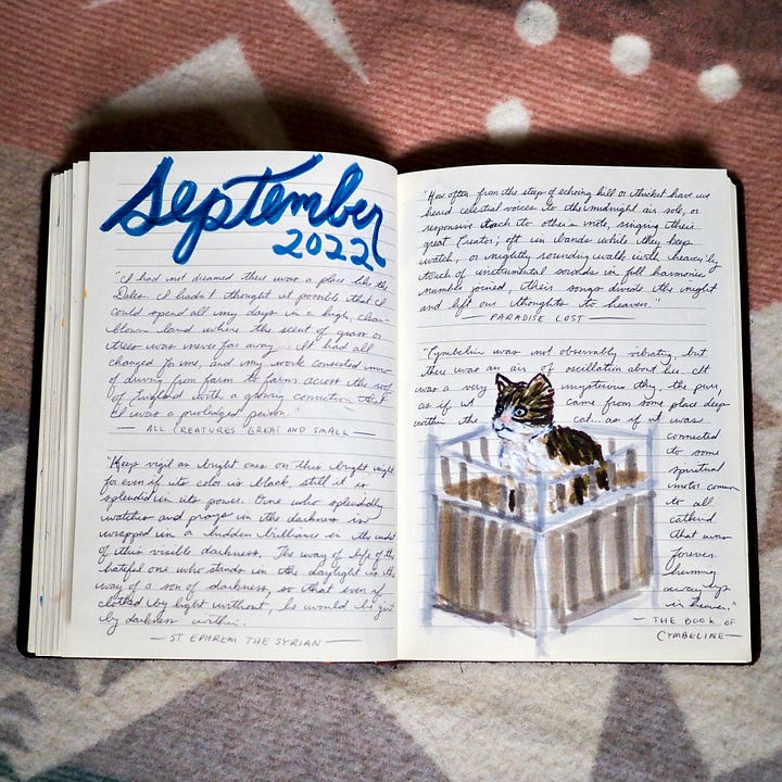 Pages from my reading journal filled with sketches and quotations.