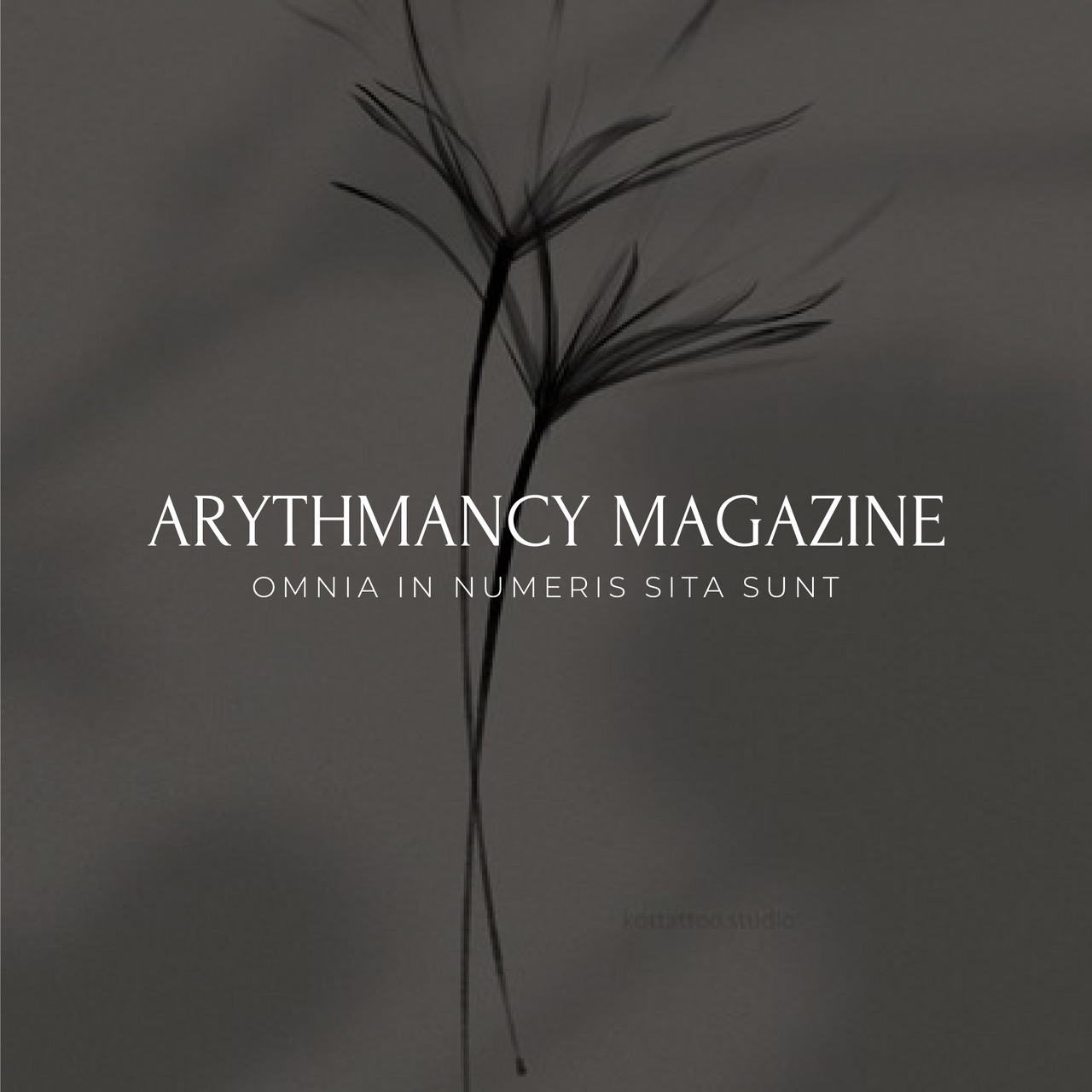 Arythmancy Magazine