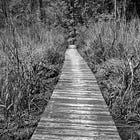 The End of the World