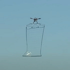 Catching Drones in Giant Nets