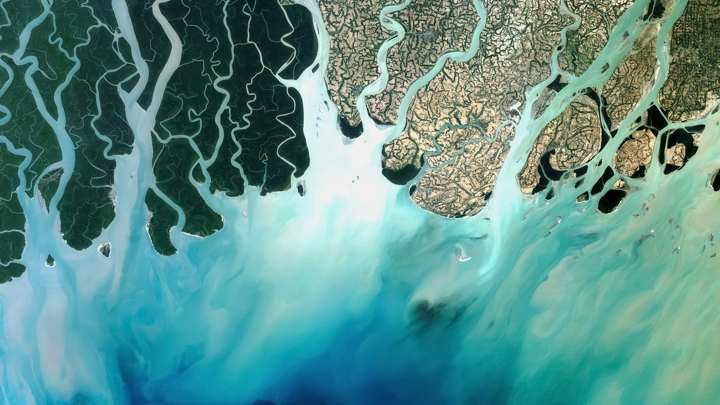 The Collaborative Earth Newsletter | Substack
