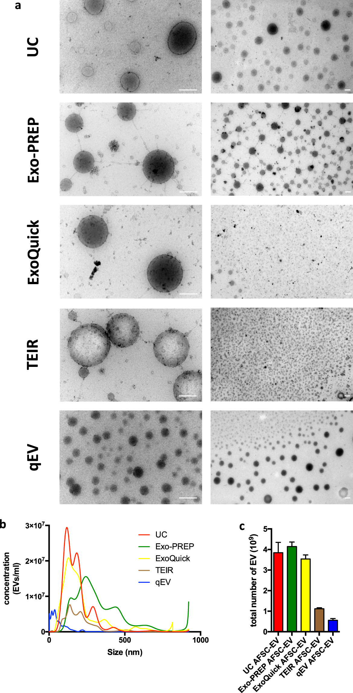Figure 1 Figure 1
