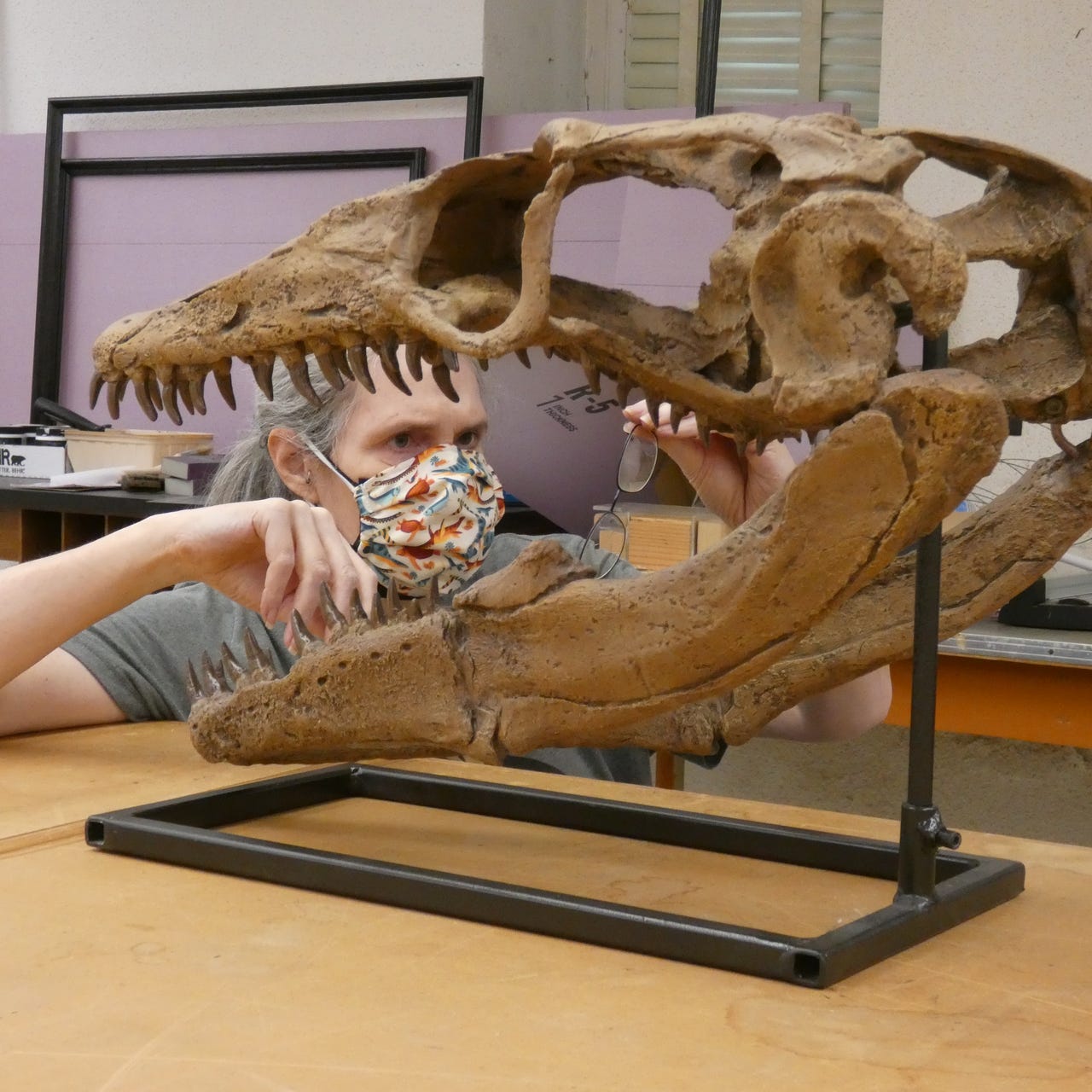 Caitlín’s Substack, Another Dear Sweet Filthy World