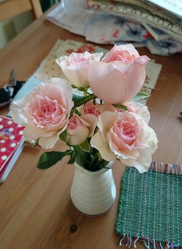 pink mini roses pink mini roses