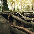 Deepening