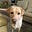 Archibald.'s avatar