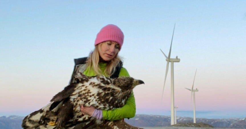 Pointless Slaughter: Wind Turbines 'The Perfect Eagle Killing Machines ...