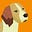 Tilly's avatar