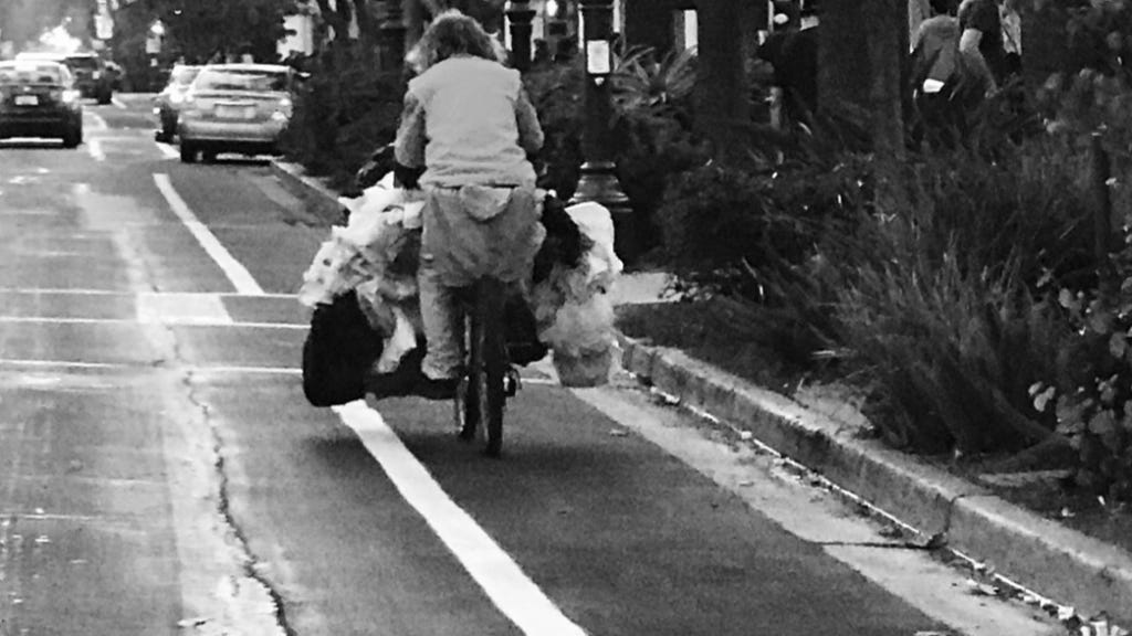 Bandit Queen. Photo copyrighted by Mark Tulin