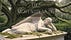 The Mortality Muse