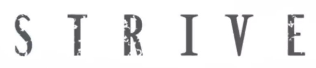 A closeup of the "Strive" text from the Dual Rulers logo." It's a serif font in a medium grey color. All letters except the "I" and the "V" are slightly textured.