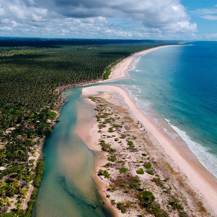 Conexão Janela da Alma