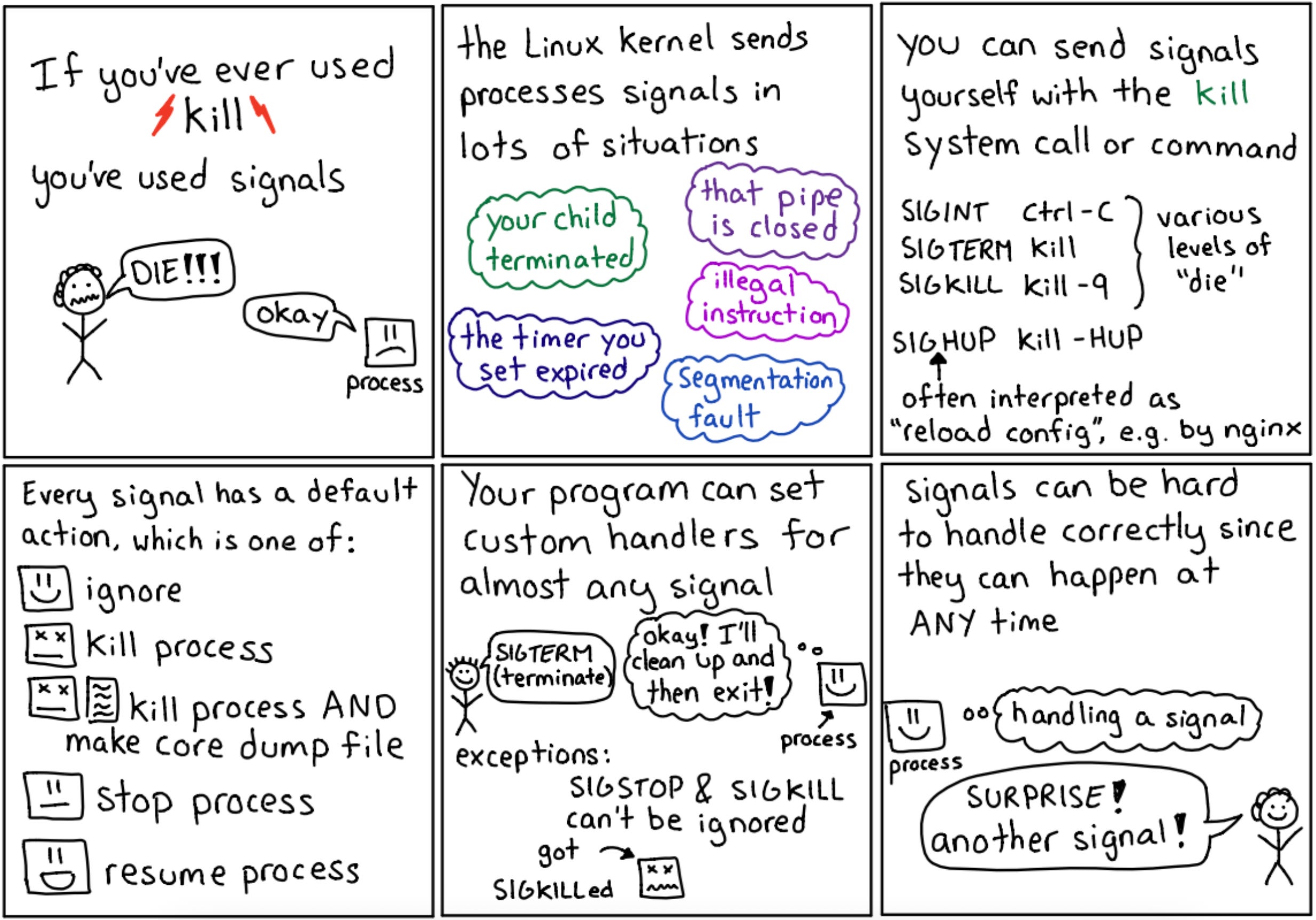 SIGINT vs. SIGTERM vs. SIGKILL - The Coding Gopher