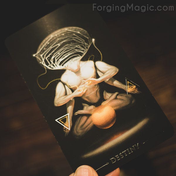 True Black Tarot Destiny True Black Tarot Destiny