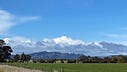Rosehaven Farms