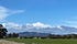 Rosehaven Farms