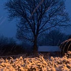 The magic of snow and words - Naked truth chapter 25