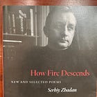 Poem Reading: "the meaning of winter changes" by Serhiy Zhadan 