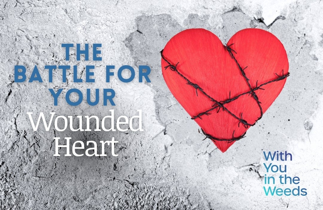 邦楽 Fight for your heart 邦楽 Fight for your heart