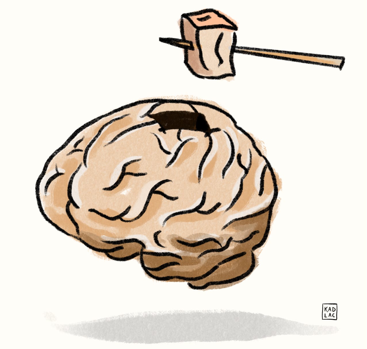 A sampling of a brain is being removed