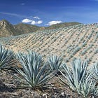 July 11th, 2025: DIAGEO faces new lawsuits about Tequila and other news