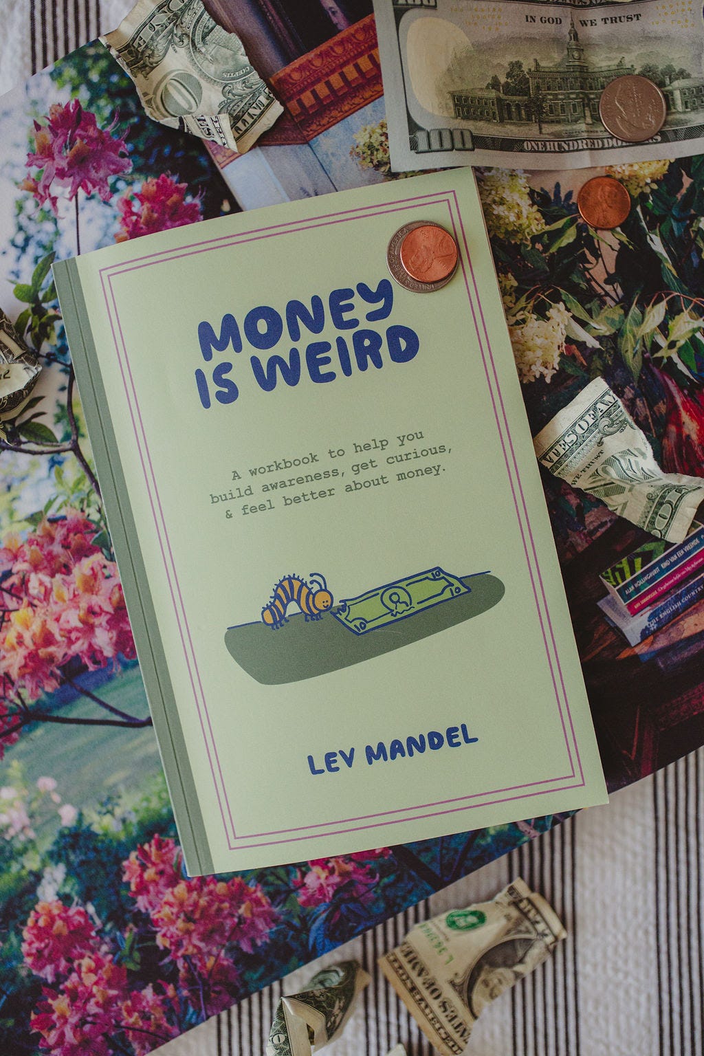 Money Is Weird Journal