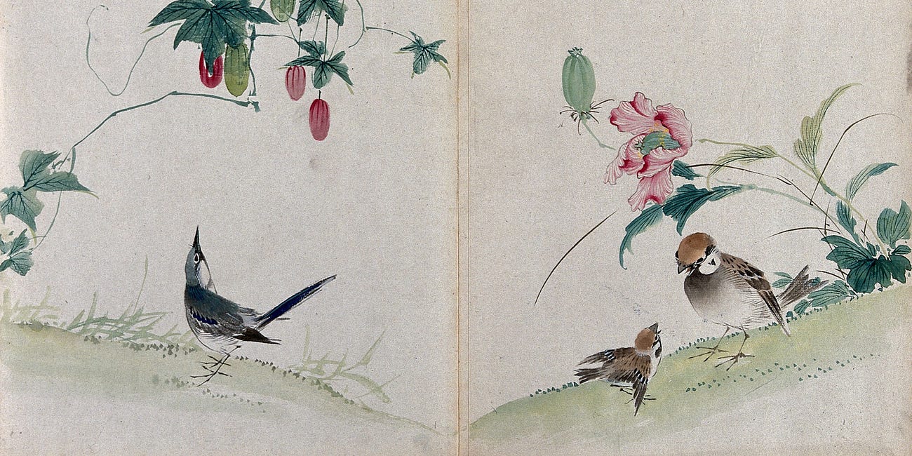 What is it like to be a bird?