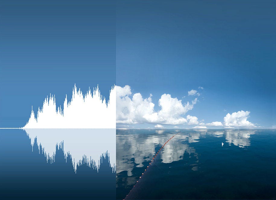 Ukrainian Artist Transforms Nature Patterns Into Sound Waves ...