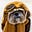 The_Last_Gentleman's avatar