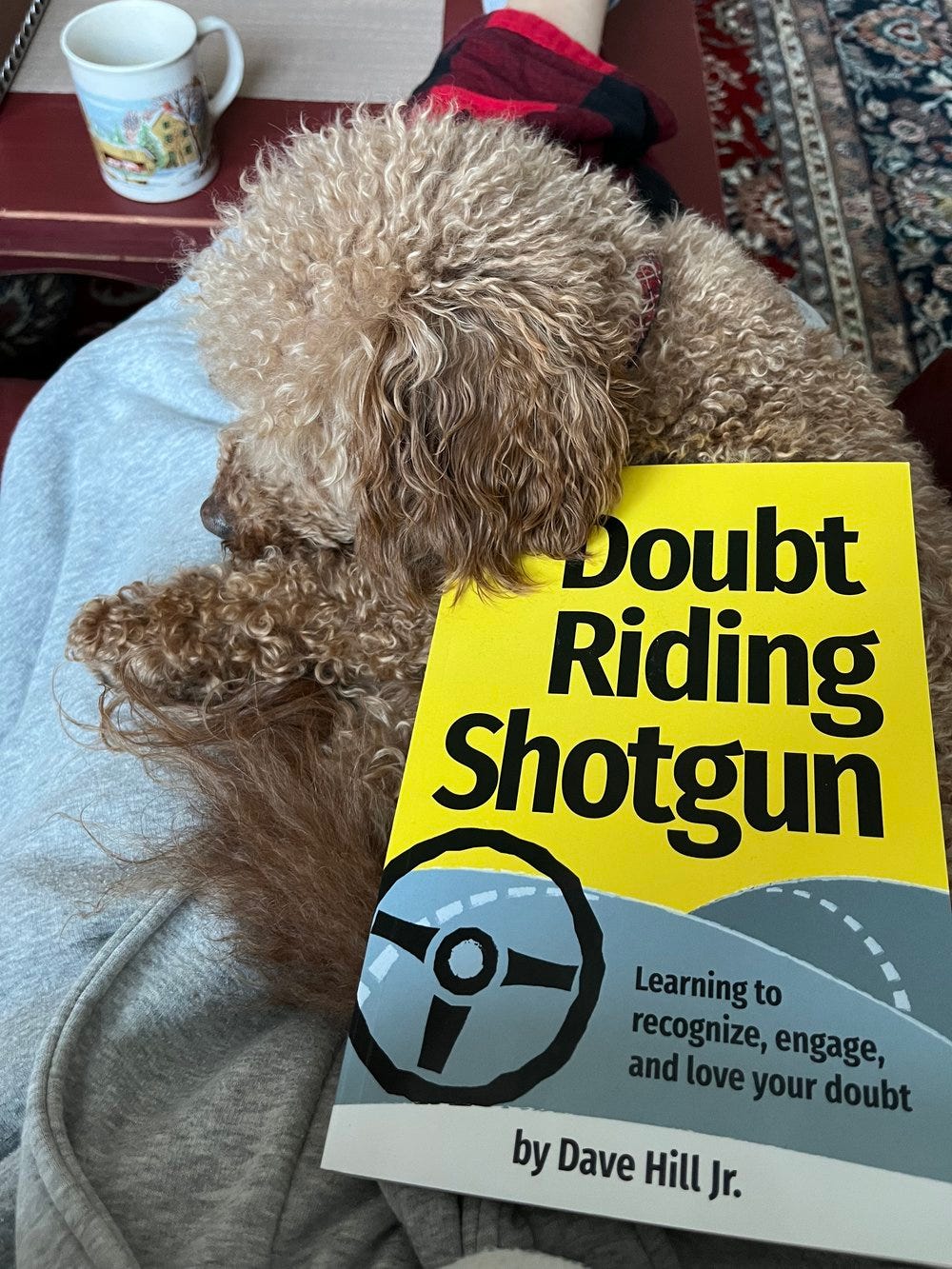 Doubt_Riding_Shotgun_cute_dog.jpeg Doubt_Riding_Shotgun_cute_dog.jpeg