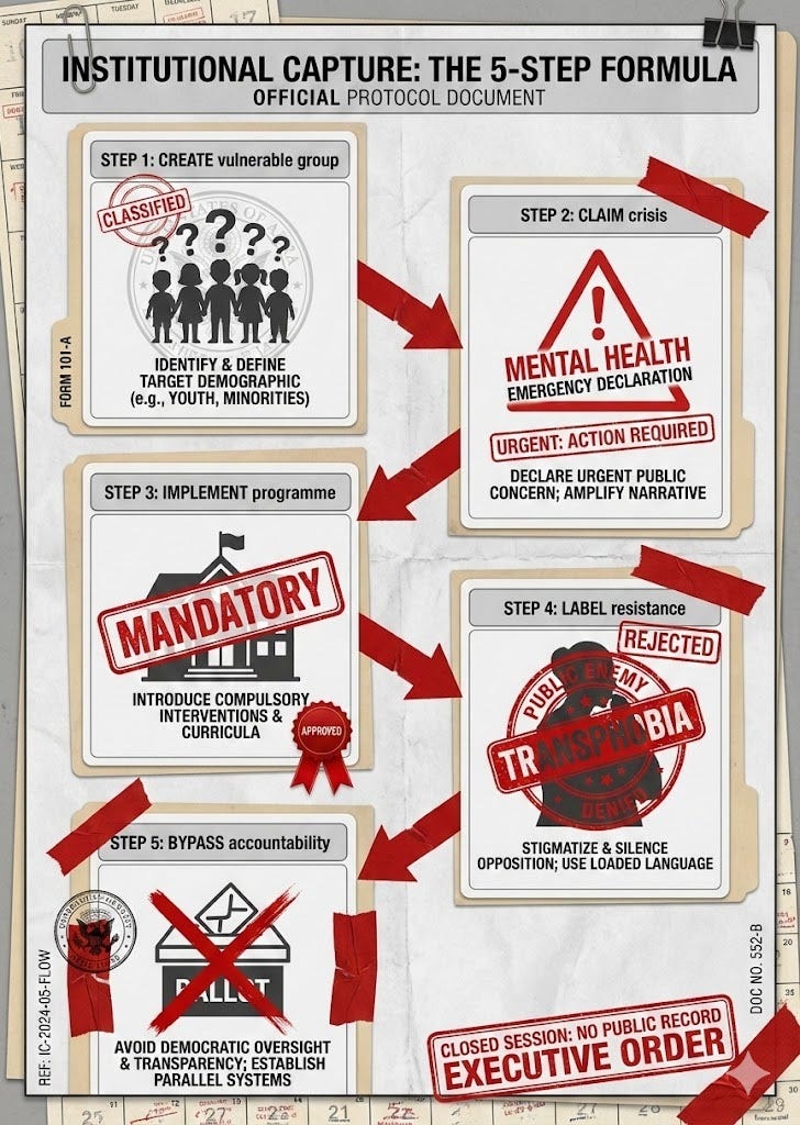 Five-step institutional capture flowchart showing how schools create vulnerable groups claim crisis implement mandatory programmes label resistance as bigotry and bypass democratic accountability - pattern of educational ideology implementation