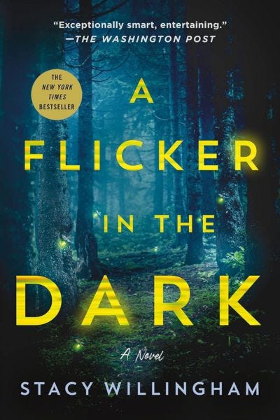 thriller books a flicker in the dark