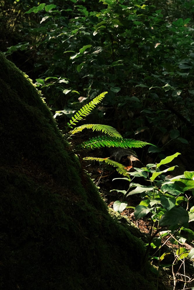 Fuji photographs of life by Tyler Knott Gregson