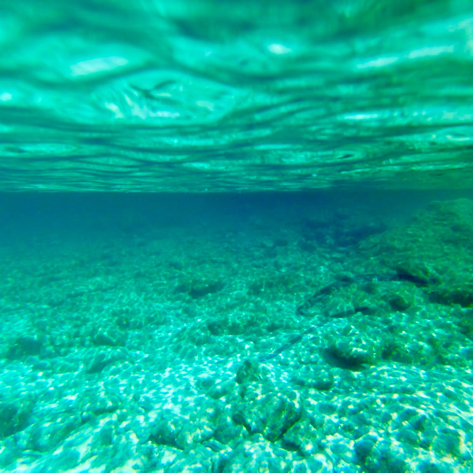 THE INDEPENDENT PHOTOGRAPHER