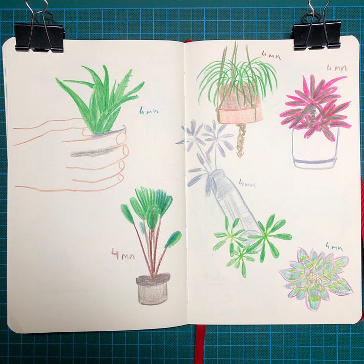 Photos des 4 doubles-pages sur lesquelles j’ai dessiné pendant la session. On y voit des dessins de plantes d’intérieur réalisés aux crayons de couleurs et parfois au crayon graphite. Le temps accordé à chaque dessin est noté à côté.
