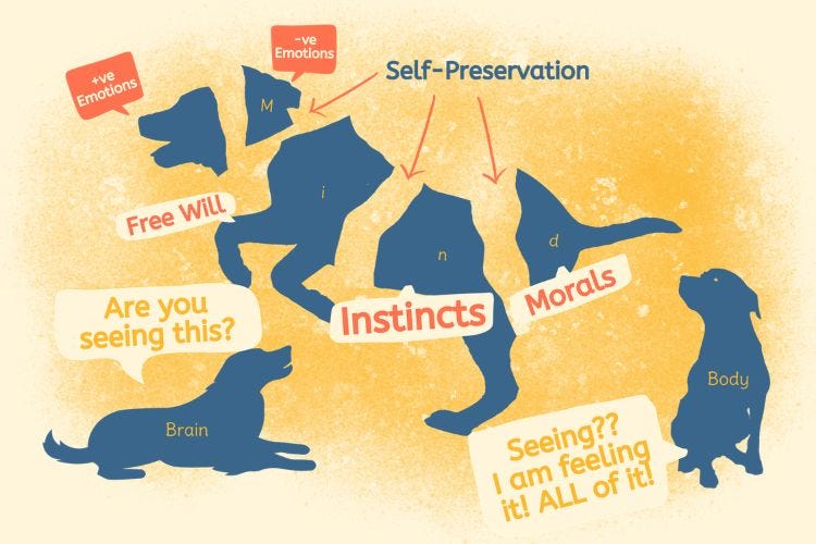 Emotions Affecting The Body Emotions Affecting The Body
